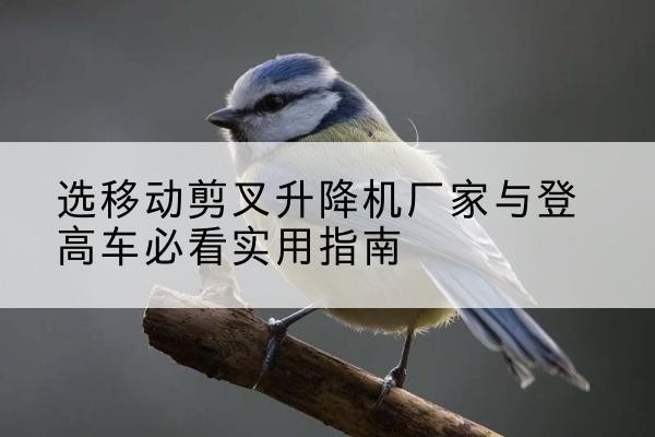 鸡西电动升降机厂家-选移动剪叉升降机厂家与登高车必看实用指南
