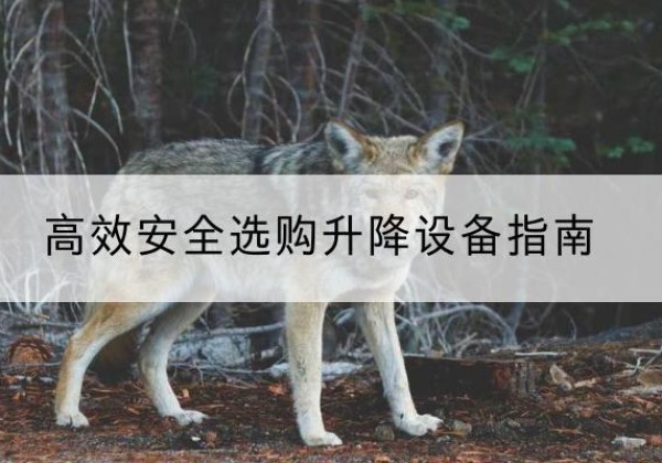 鸡西升降货梯厂家推荐-*安全选购升降设备指南