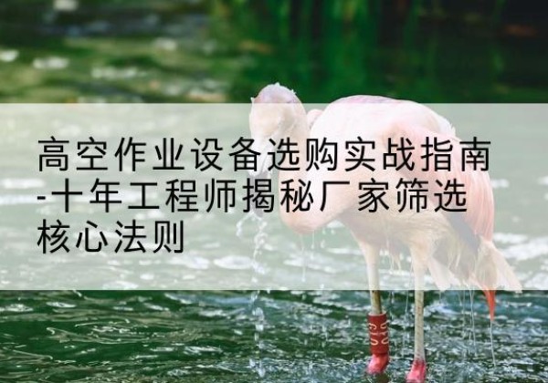 鸡西剪叉式升降机厂家-高空作业设备选购实战指南-十年工程师揭秘厂家筛选核心法则